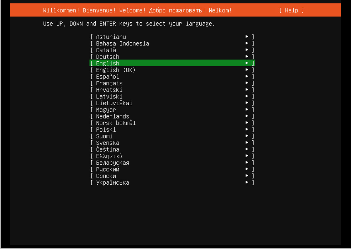 Установка Ubuntu Server 20.04 сервер без GUI изображение с сайта www.eth1.ru
