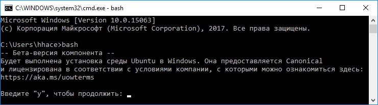 Пошаговая инструкция по включению WSL WSL2 Bash в Windows 10  изображение с сайта www.eth1.ru
