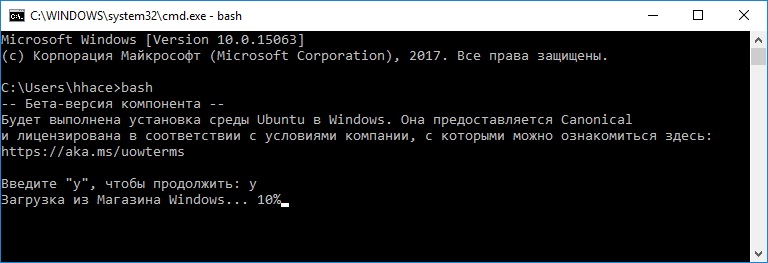 Пошаговая инструкция по включению WSL WSL2 Bash в Windows 10  изображение с сайта www.eth1.ru