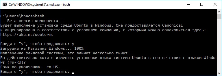 Пошаговая инструкция по включению WSL WSL2 Bash в Windows 10  изображение с сайта www.eth1.ru