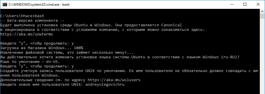 Пошаговая инструкция по включению WSL WSL2 Bash в Windows 10  изображение с сайта www.eth1.ru