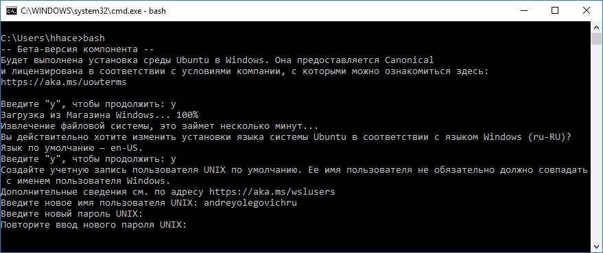 Пошаговая инструкция по включению WSL WSL2 Bash в Windows 10  изображение с сайта www.eth1.ru